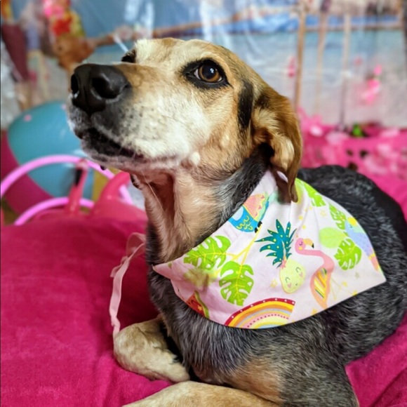 Handmade Bandanna - Picture 4 of 9